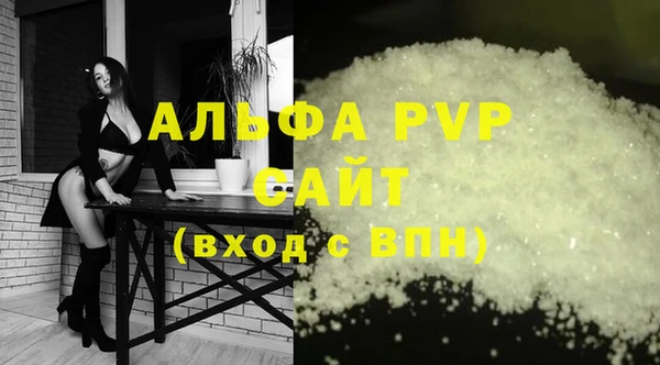 PSILOCYBIN Заводоуковск